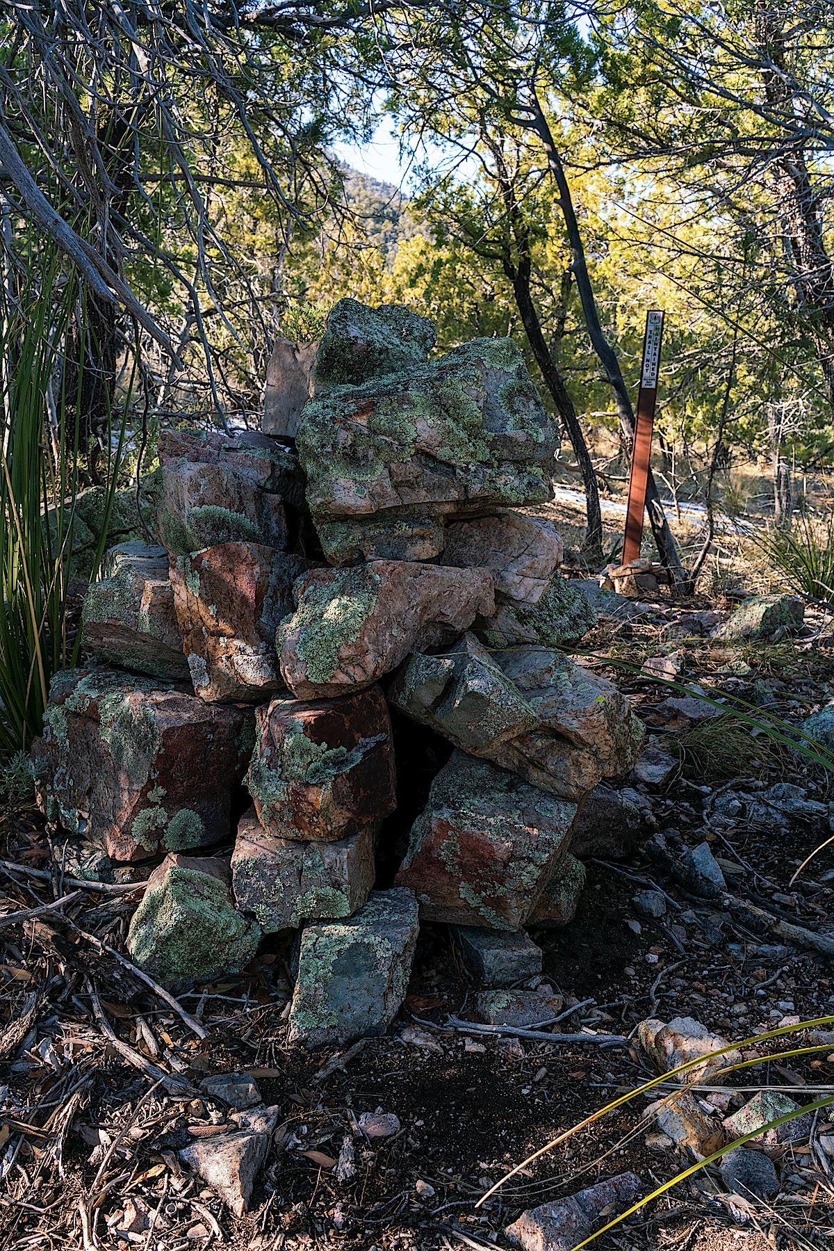 Large old cairn and newer end of the maintained trail marker on the Knagge Trail. February 2019.